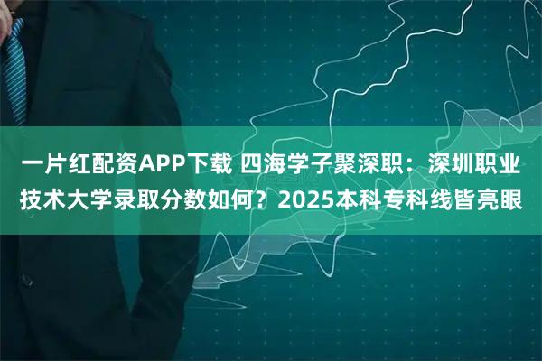 一片红配资APP下载 四海学子聚深职：深圳职业技术大学录取分数如何？2025本科专科线皆亮眼
