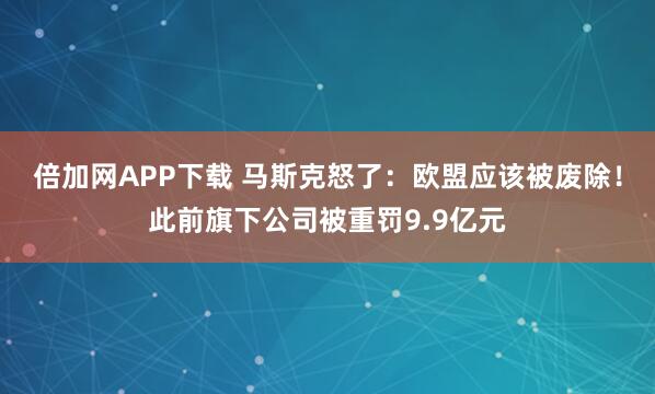 倍加网APP下载 马斯克怒了：欧盟应该被废除！此前旗下公司被重罚9.9亿元