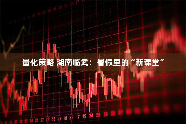 量化策略 湖南临武:暑假里的“新课堂”