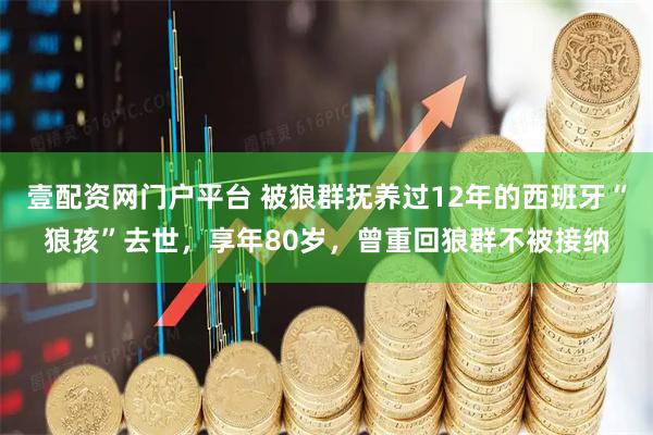 壹配资网门户平台 被狼群抚养过12年的西班牙“狼孩”去世，享年80岁，曾重回狼群不被接纳