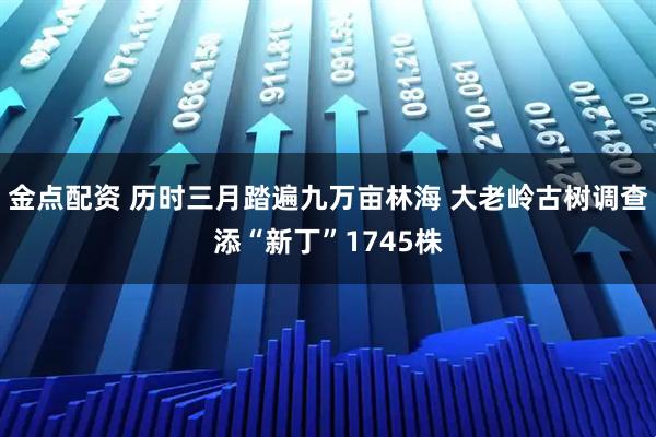 金点配资 历时三月踏遍九万亩林海 大老岭古树调查添“新丁”1745株